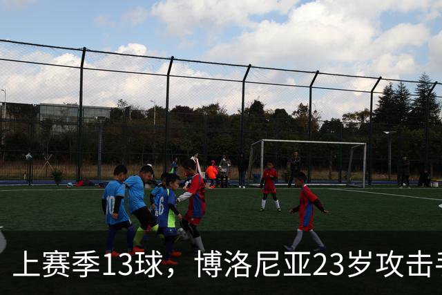 上赛季13球，博洛尼亚23岁攻击手引维拉切尔西争夺