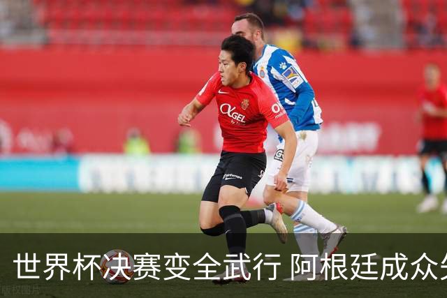世界杯决赛变全武行 阿根廷成众矢之的？