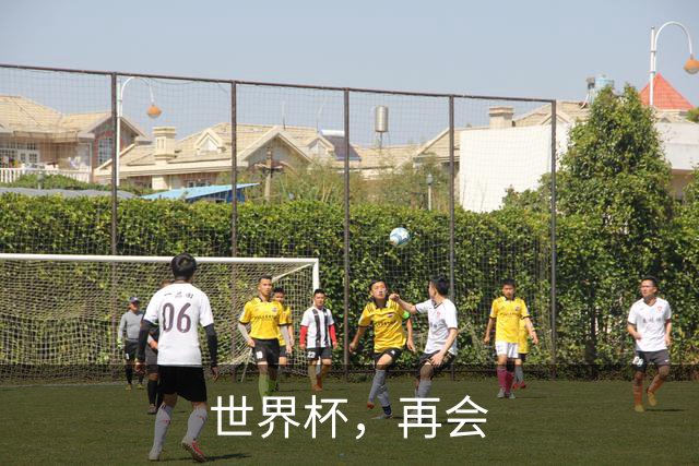 世界杯，再会