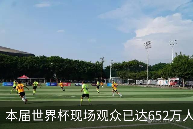 本届世界杯现场观众已达652万人 超越过去两届总和